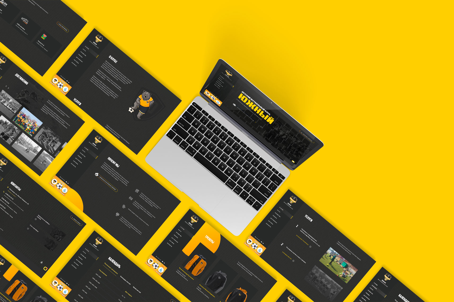 Шаблоны страниц ФК Южный