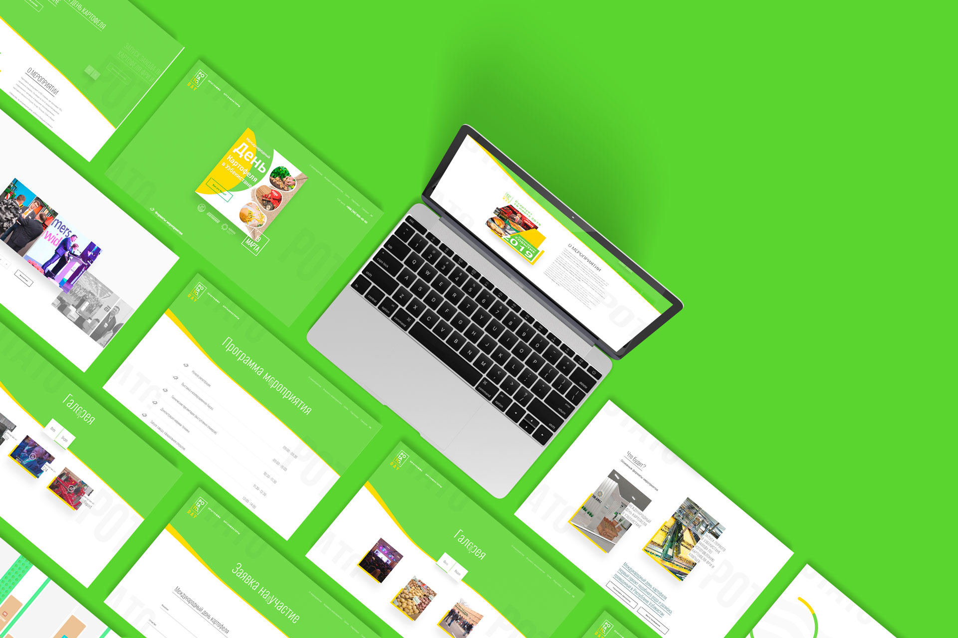 Шаблоны страниц Potato Day